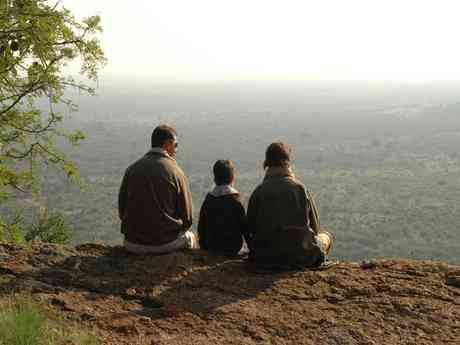 Magnificent Cape & Madikwe for the Family
